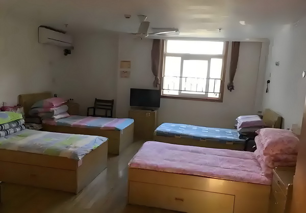 深圳花钱办理积分入户_预售惨淡人气暴跌谁也救不了“狂妄自大”的那英 不已属在伤心一旁其家